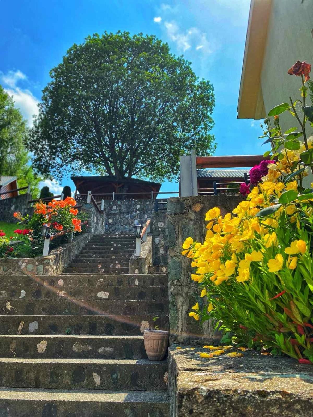 莫泰科尔萨克汽车旅馆 莫伊科瓦茨 外观 照片